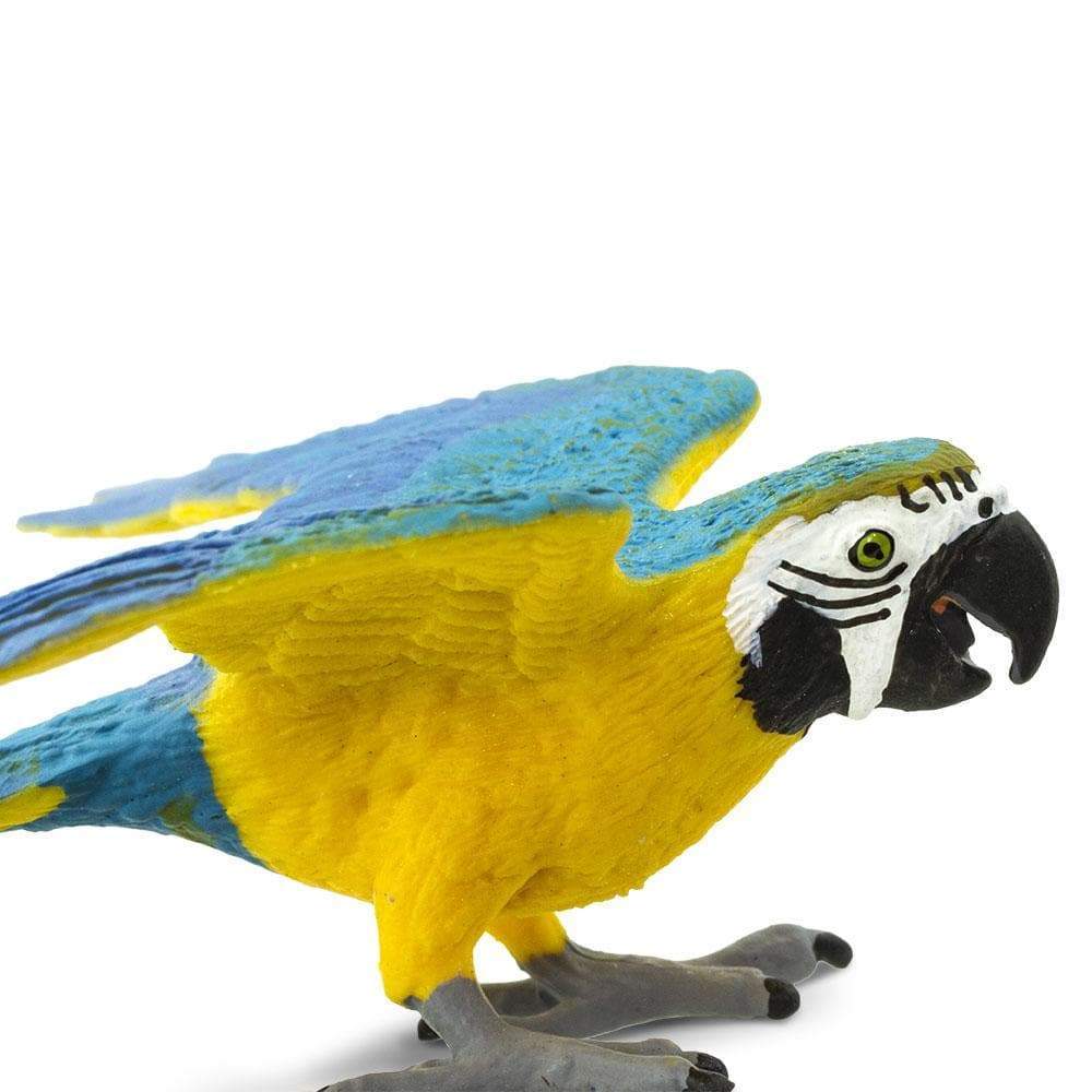 Blue & Gold Macaw Toy-3