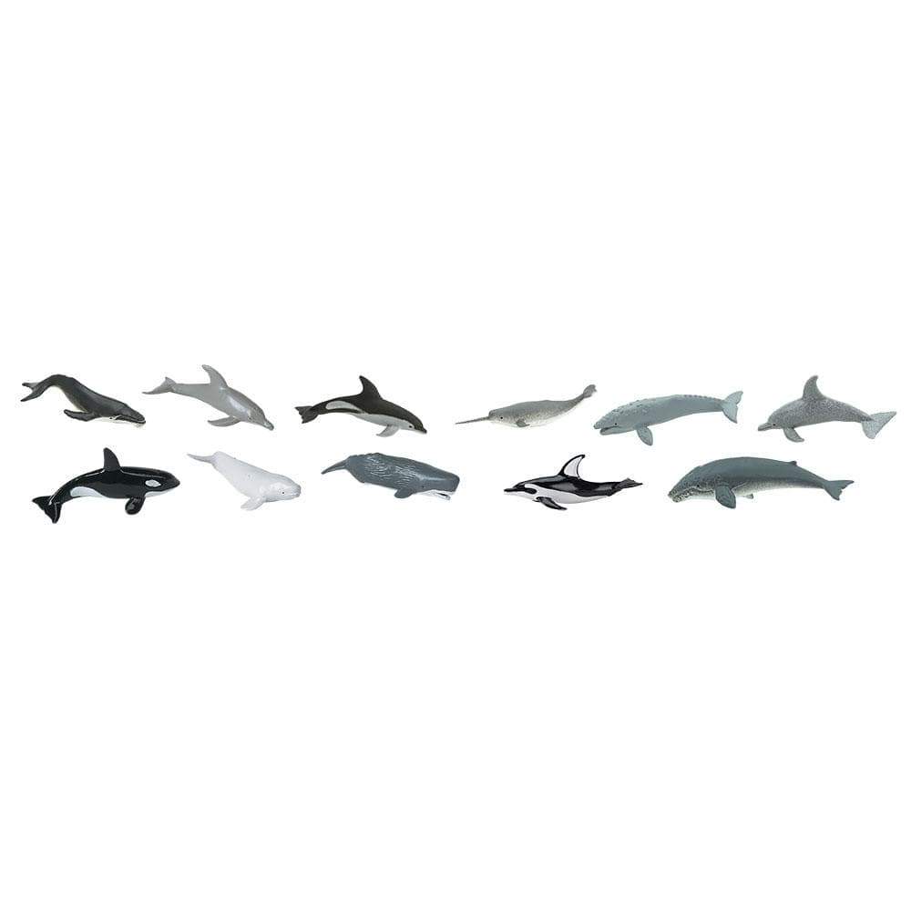 Whales and Dolphins Bulk Bag-1