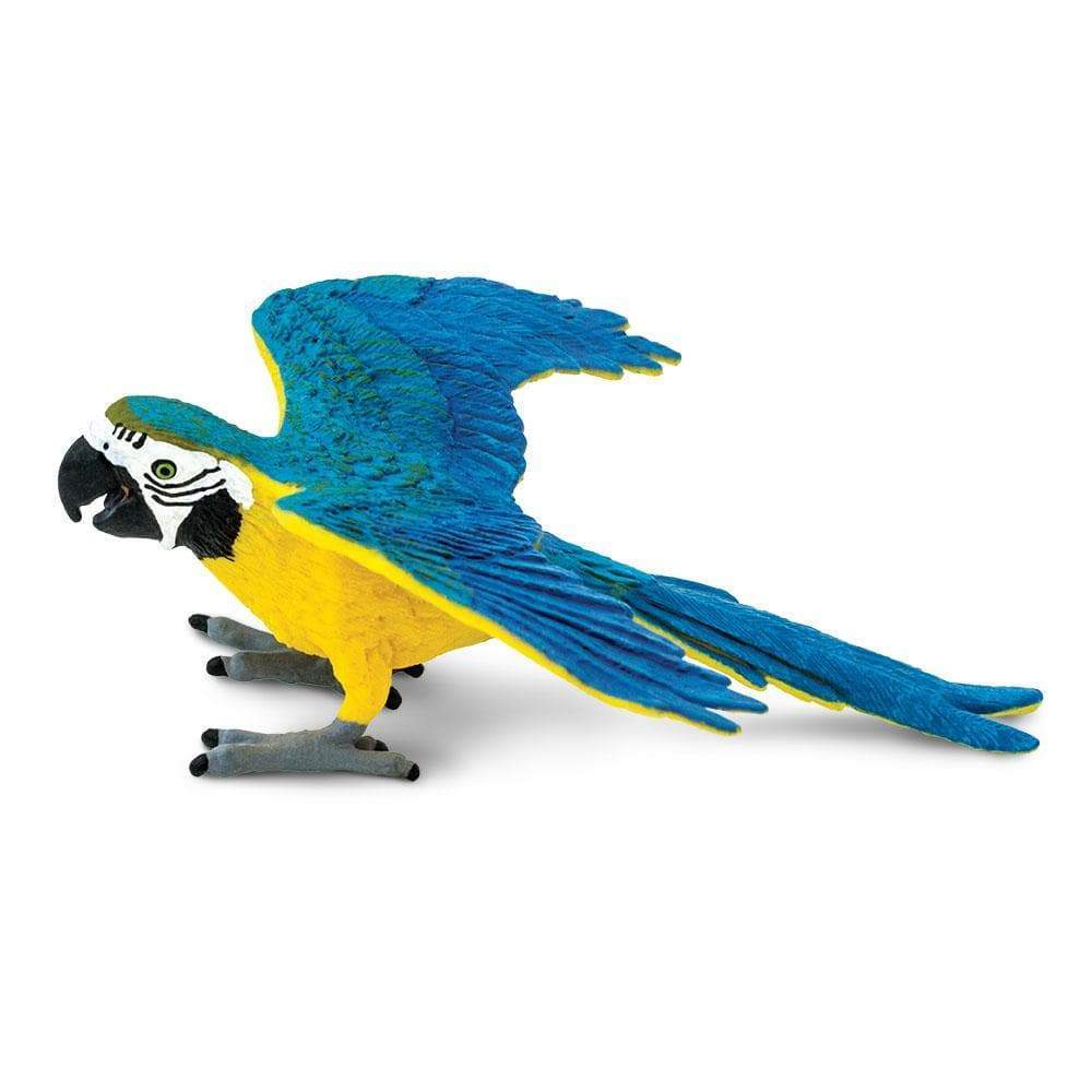 Blue & Gold Macaw Toy-0