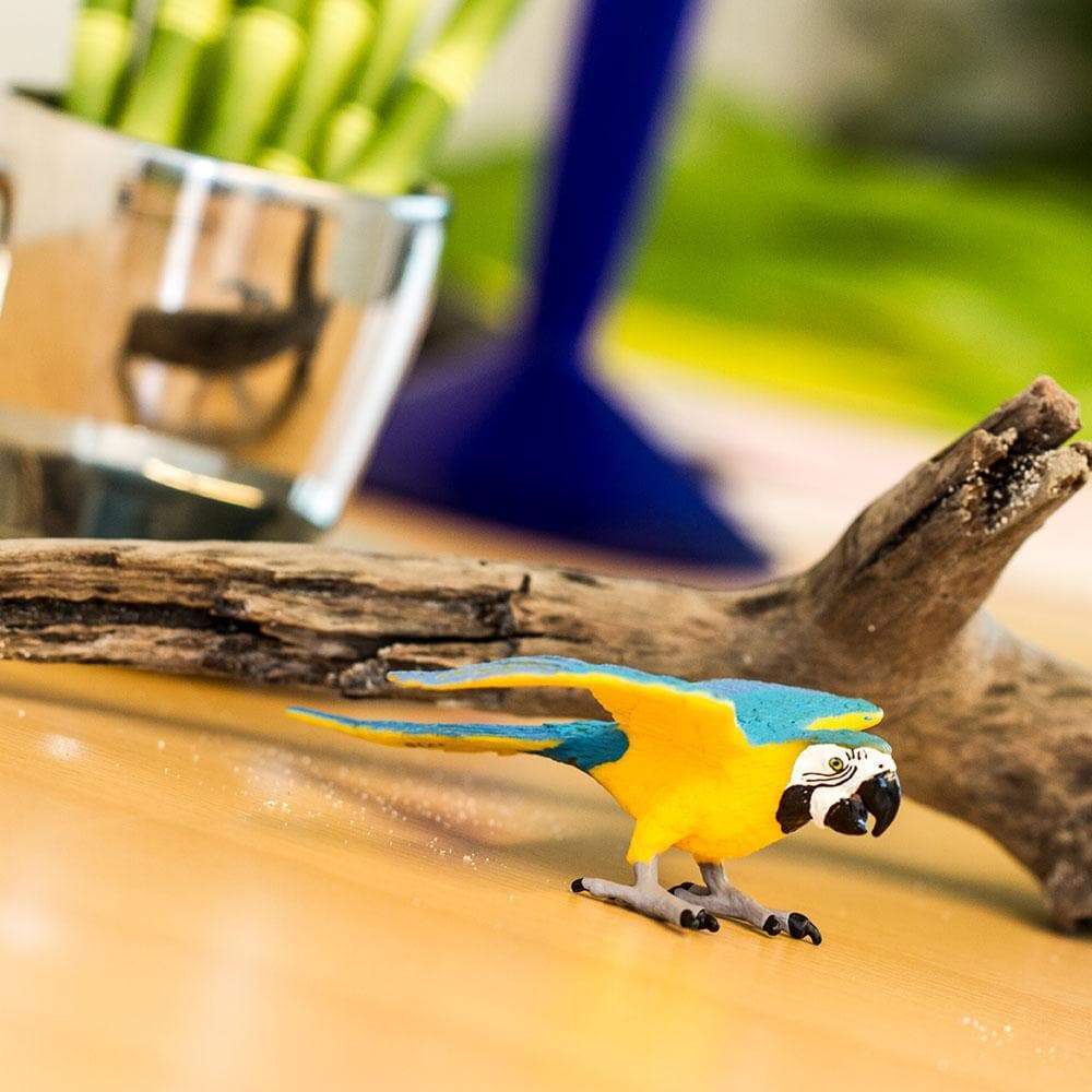 Blue & Gold Macaw Toy-1