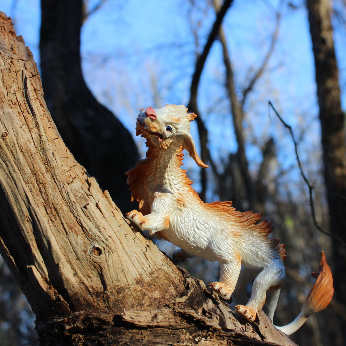 Good Luck Dragon Toy-4