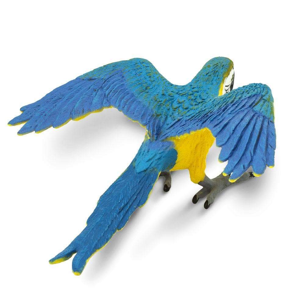 Blue & Gold Macaw Toy-4